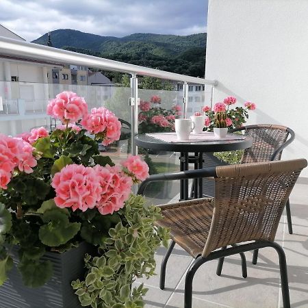 Svjetlanalex 2 Banja Koviljača Exterior foto