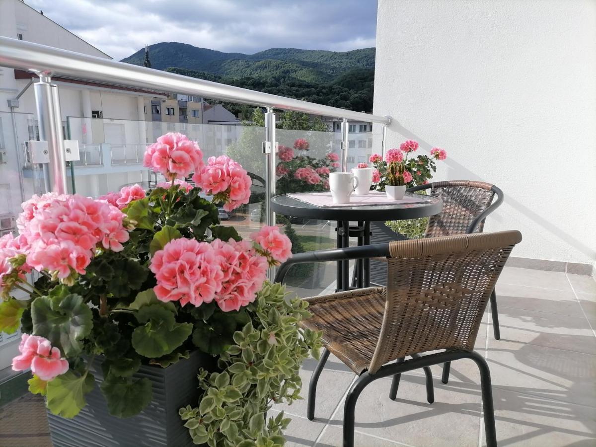 Svjetlanalex 2 Banja Koviljača Exterior foto